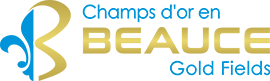 Champs d'or en Beauce — Beauce Gold Fields